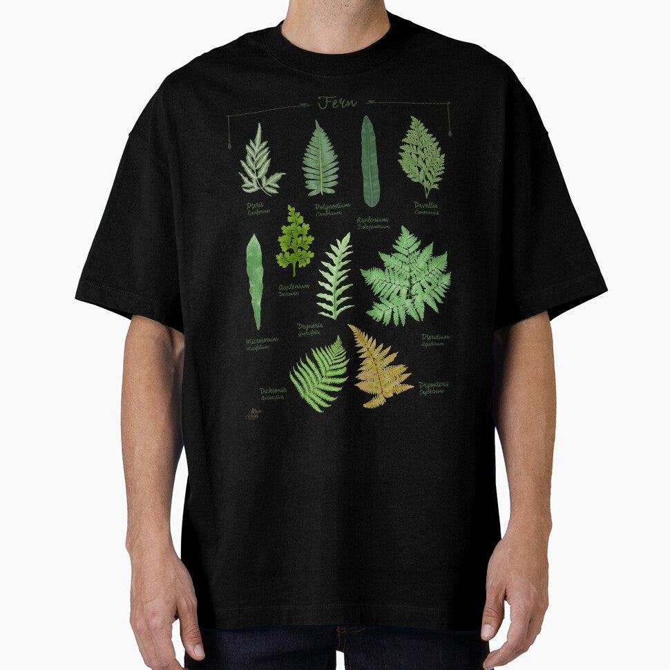 Ferns 2 species collection botanical illustration by Onyria Art