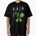 Ferns 2 species collection botanical illustration by Onyria Art