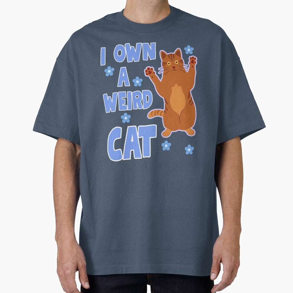 I own a weird cat, crazy ginger cat by BritishDelights