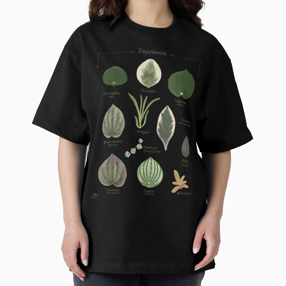 Peperomia plants species collection botanical illustration by Onyria Art