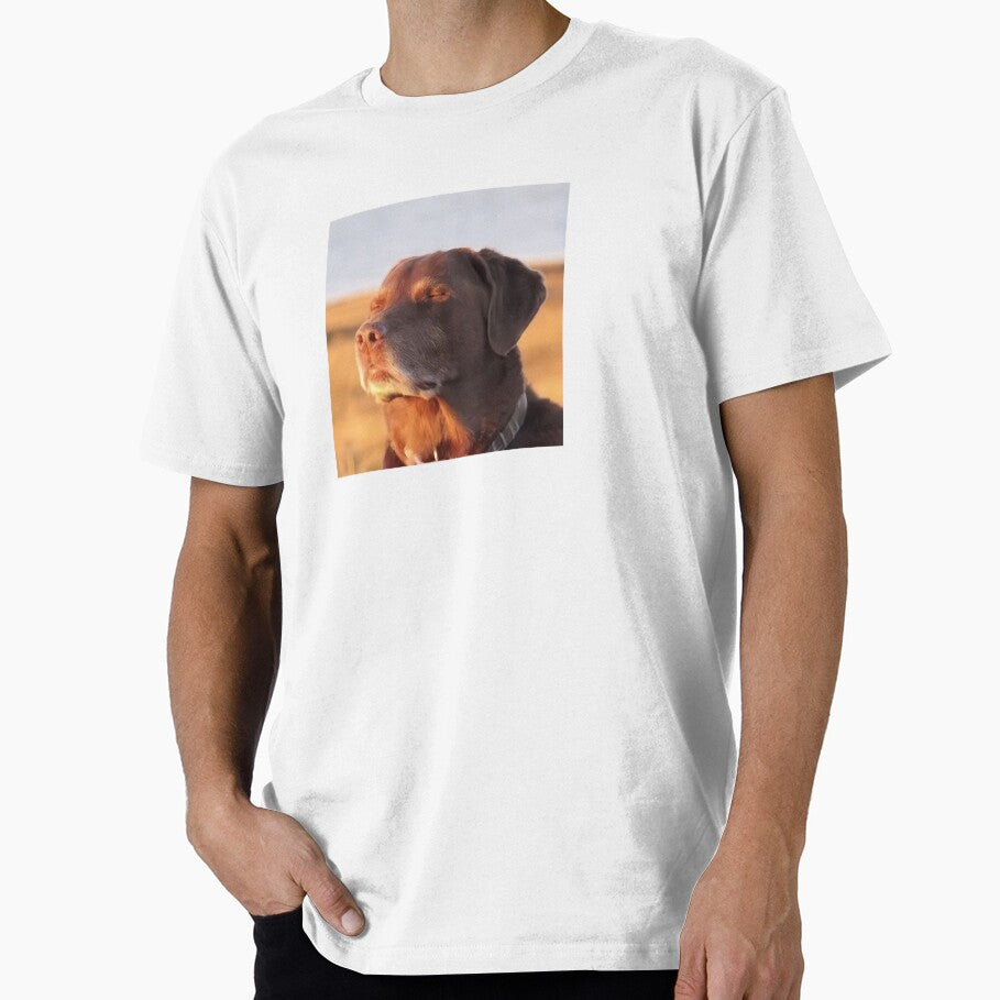 Unbothered Dog Meme Wall Art Just Vibing Funny Dog Poster Calm Dog Meme Print by VibeDept
