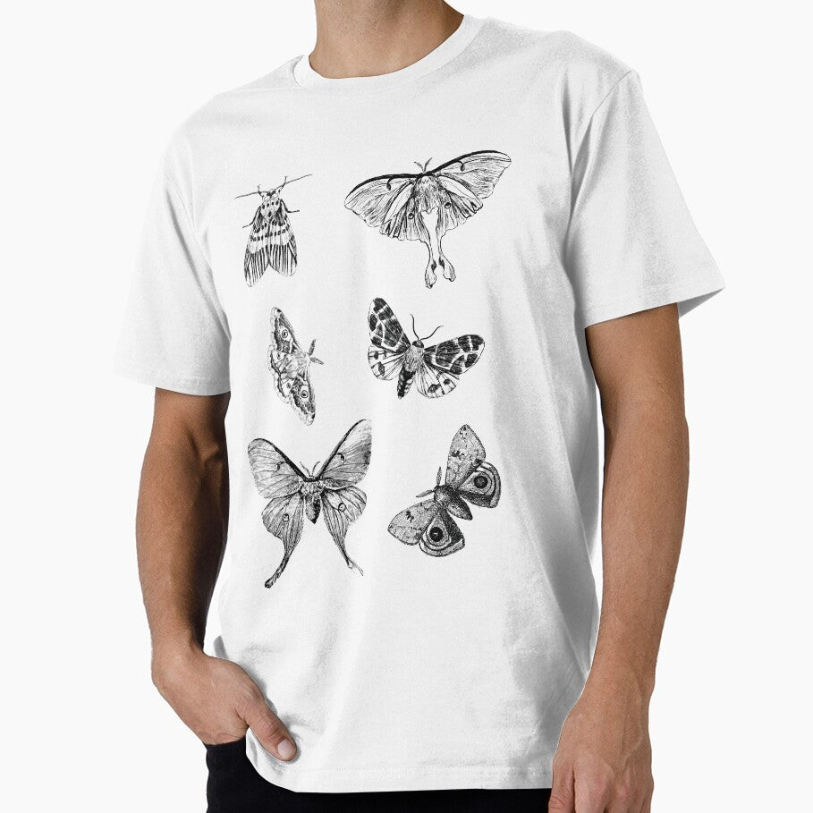 Moth Pencil Drawings | Collection by Adams-Lilith