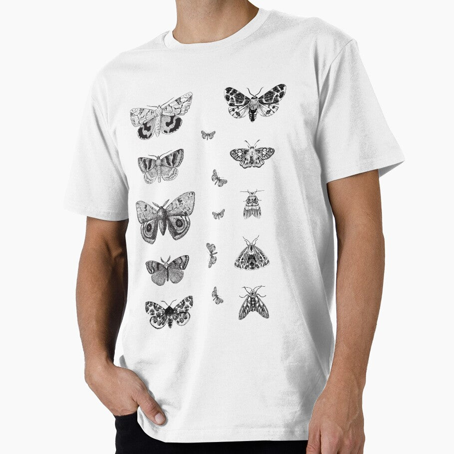 Moth 2 Pencil Drawings | Collection by Adams-Lilith
