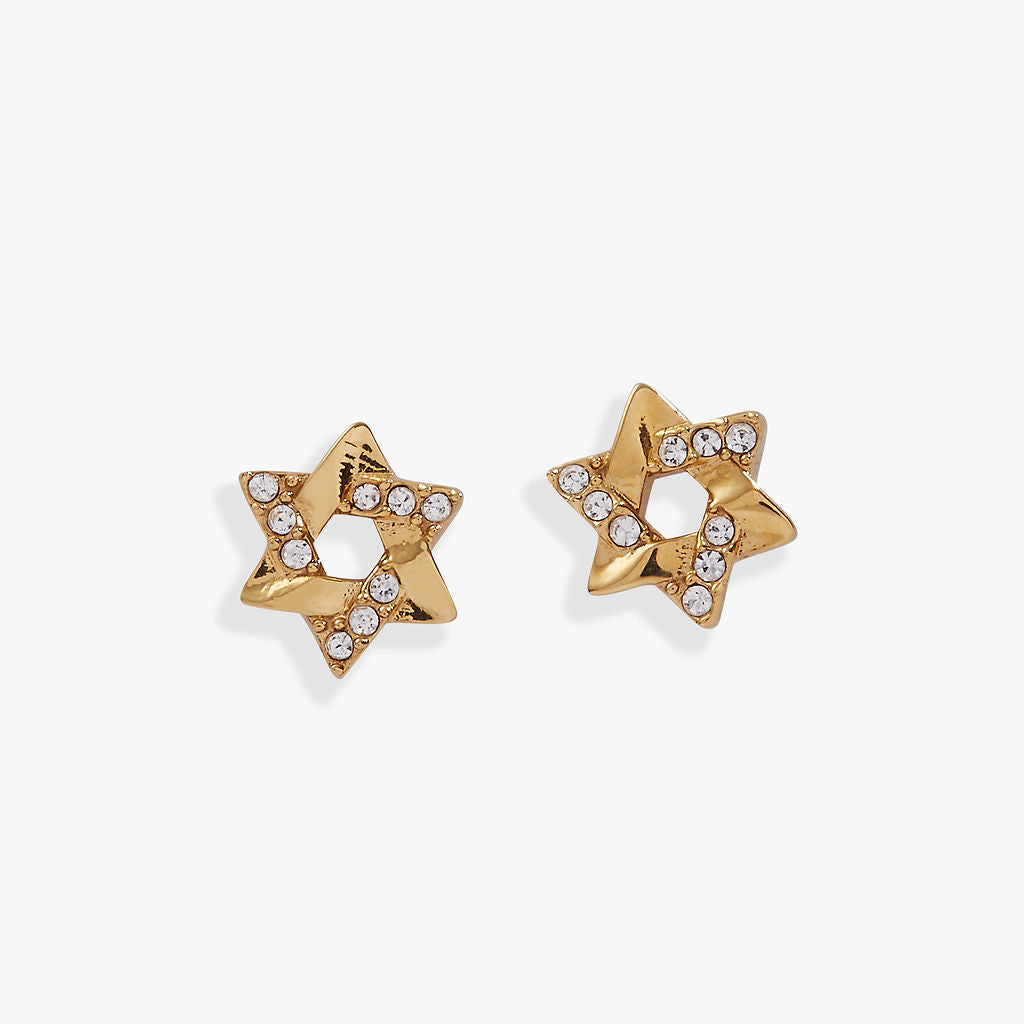 Star David Mini Stud Earrings T-Shirts