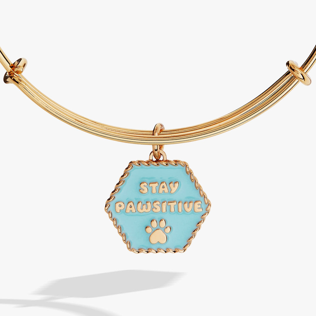 Dog 'Stay Pawsitive' Bangle T-Shirts